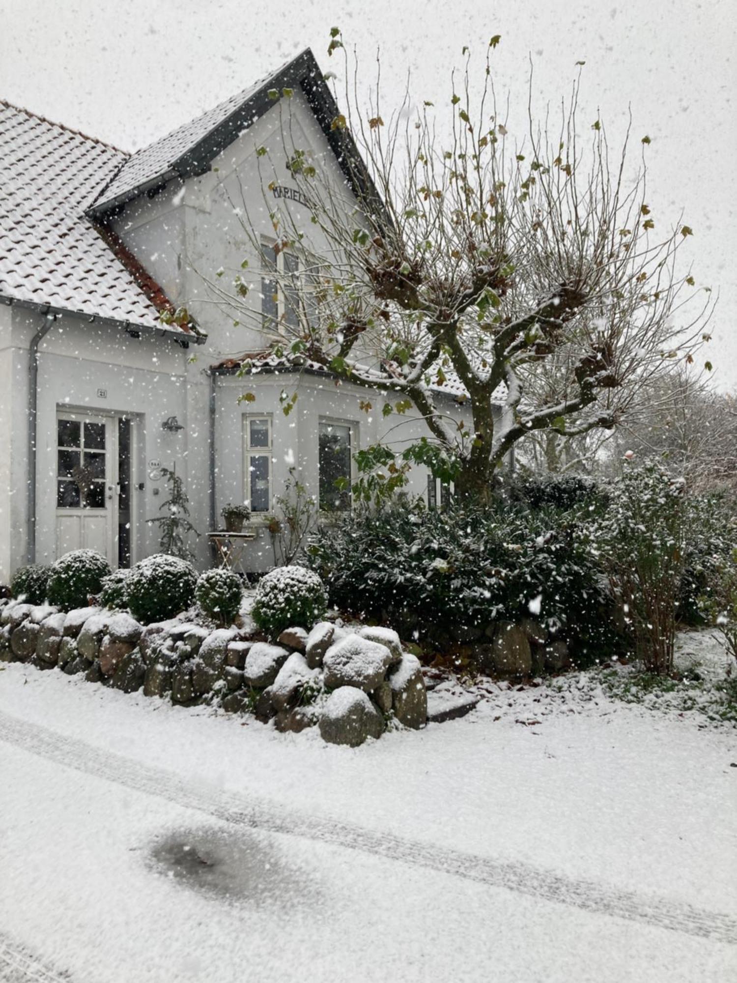 Marielyst B&B - Apartments Næstved Exteriör bild